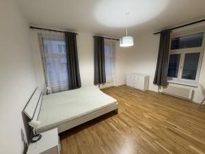 Prodej bytu 1+kk, Praha - Nové Město, Petrská, 46 m2