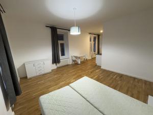 Prodej bytu 1+kk, Praha - Nové Město, Petrská, 46 m2