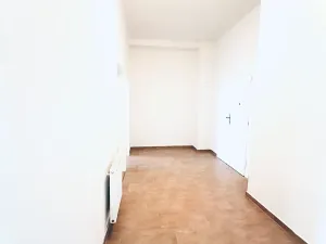 Pronájem bytu 3+kk, Praha - Žižkov, Fibichova, 90 m2