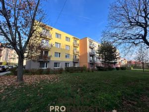 Pronájem bytu 1+kk, Znojmo, Jindřicha Hořejšího, 21 m2