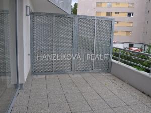 Pronájem bytu 1+kk, České Budějovice - České Budějovice 2, Volejbalistů, 28 m2