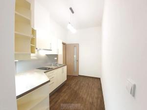 Pronájem bytu 1+kk, Praha - Žižkov, Domažlická, 35 m2