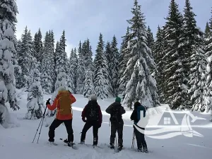 Prodej bytu 1+kk, Bansko, Bulharsko, 71 m2