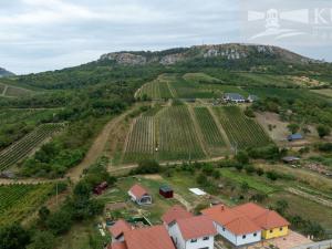 Prodej komerčního pozemku, Bavory, 200 m2