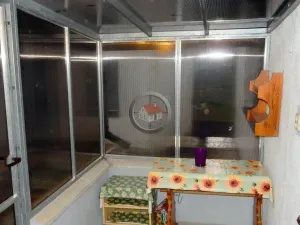 Prodej rodinného domu, Stařeč, Pikharta, 100 m2