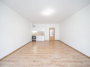 Pronájem bytu 1+kk, Štěnovice, Skalní, 40 m2