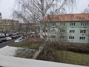 Pronájem bytu 2+1, Teplice, U nemocnice, 55 m2