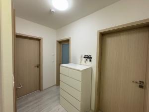 Pronájem bytu 2+kk, Ostrava - Moravská Ostrava, náměstí Biskupa Bruna, 52 m2