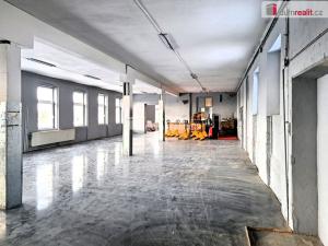 Pronájem výrobních prostor, Aš, Okružní, 3300 m2