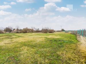 Pronájem komerčního pozemku, Kořenice - Pučery, 11302 m2