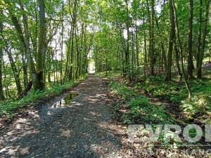 Prodej pozemku, Přimda, okres tachov, 349500 m2