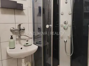 Pronájem bytu 1+1, České Budějovice - České Budějovice 3, Skuherského, 40 m2