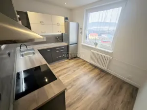 Pronájem bytu 3+1, Ostrov, Družební, 80 m2