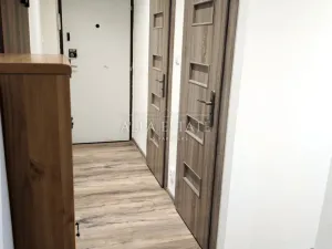 Pronájem bytu 3+1, Ostrov, Družební, 80 m2