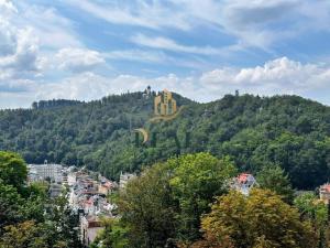 Prodej bytu 2+kk, Karlovy Vary, Na Vyhlídce, 78 m2