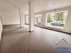 Prodej ubytování, Milovice - Benátecká Vrutice, 1080 m2