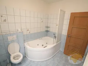 Pronájem bytu 1+kk, Praha - Košíře, Pod školou, 50 m2