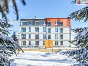 Prodej bytu 2+kk, Abertamy, Vítězná, 44 m2