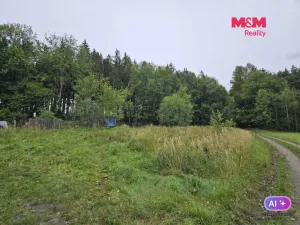 Prodej louky, Hynčina, 922 m2