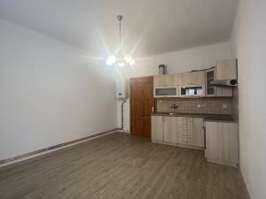 Pronájem bytu 1+kk, Plzeň - Jižní Předměstí, Vrchlického, 30 m2