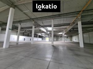Pronájem skladu, Krupka, Eduarda Proppera, 5493 m2