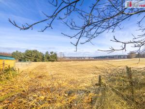 Prodej rodinného domu, Lipí - Kaliště u Lipí, 109 m2