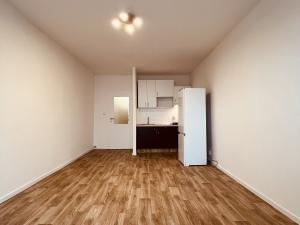 Pronájem bytu 1+kk, Ostrava - Zábřeh, Petruškova, 26 m2