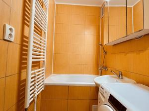Pronájem bytu 1+kk, Ostrava - Zábřeh, Petruškova, 26 m2