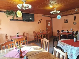 Prodej restaurace, Český Těšín, 132 m2