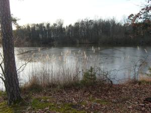 Prodej chaty, Neustupov - Podlesí, 55 m2