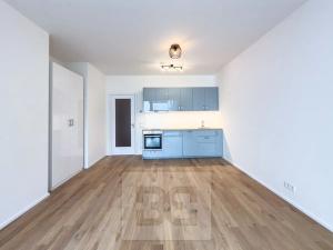 Pronájem bytu 1+kk, Praha - Holešovice, U průhonu, 42 m2