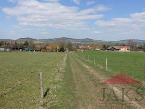 Prodej pozemku pro bydlení, Janovice nad Úhlavou, 11860 m2