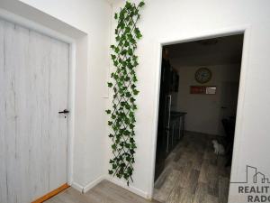 Prodej rodinného domu, Lešany, 251 m2