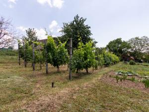 Prodej rodinného domu, Strážovice, Strážovice, 190 m2