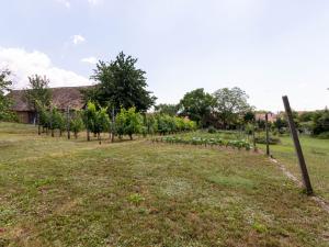 Prodej rodinného domu, Strážovice, Strážovice, 190 m2