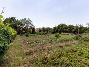 Prodej rodinného domu, Strážovice, Strážovice, 190 m2