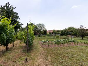 Prodej rodinného domu, Strážovice, Strážovice, 190 m2