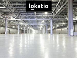 Pronájem skladu, Chlumec, U Dálnice, 34000 m2