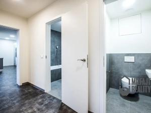 Pronájem bytu 3+kk, Liberec, Puchmajerova, 85 m2