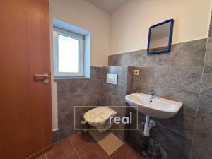 Pronájem bytu 1+kk, Velké Pavlovice, 28 m2