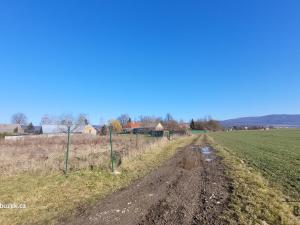 Prodej pozemku pro bydlení, Dlouhá Loučka, 1313 m2