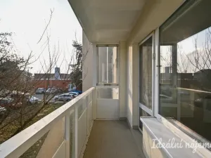 Pronájem bytu 3+1, Brno, Havelkova, 63 m2