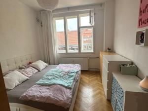 Pronájem bytu 2+kk, Praha - Smíchov, Štefánikova, 54 m2