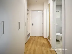 Pronájem bytu 1+kk, Brno - Komín, Podveská, 51 m2