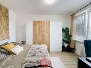 Pronájem bytu 2+1, Ostrava, Horní, 46 m2