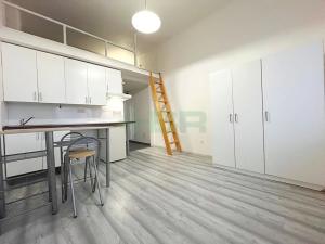 Pronájem bytu 1+kk, Praha - Žižkov, Přemyslovská, 20 m2