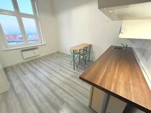 Pronájem bytu 1+kk, Praha - Žižkov, Přemyslovská, 20 m2