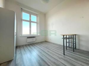 Pronájem bytu 1+kk, Praha - Žižkov, Přemyslovská, 20 m2