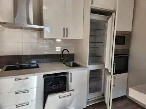 Pronájem bytu 2+kk, Praha - Žižkov, Basilejské náměstí, 59 m2