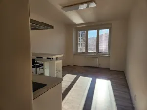 Pronájem bytu 2+kk, Praha - Žižkov, Basilejské náměstí, 59 m2